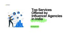 Top Services Offered by Influencer Agencies in India